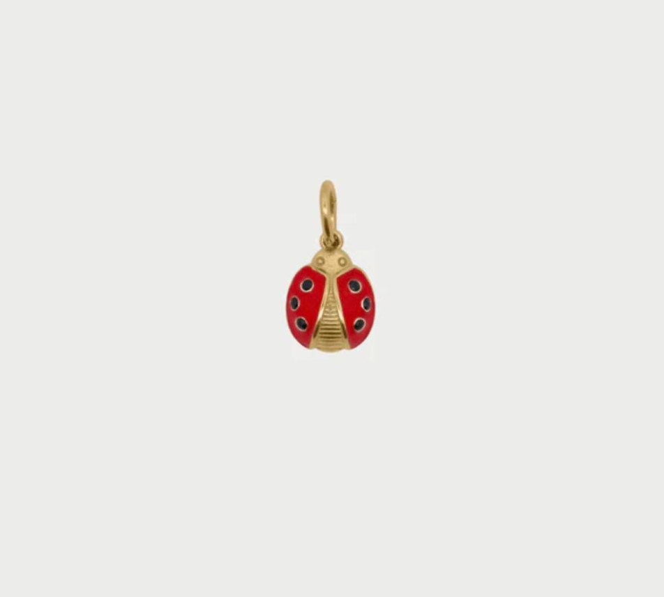 charm coccinella
